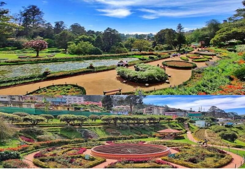 Ooty Taxi Services | Ooty Travels | Travel Agency Near me |Travels in Ooty| Travel Agency in Ooty |Day Wise Tour Packages | Taxi Booking in Ooty | Cab Rentals in Ooty | Local Sightseeing Tours in Ooty | Sightseeing in Ooty | Travel Packages in Ooty | Ooty Car Rental | Taxi Booking in Ooty | Tour Packages in Ooty | Ooty Tour Packages |Honeymoon Packages in Ooty | Trip Planner Ooty | Best Travel Agency in Ooty | Ooty Travels Booking | Family Tour Packages | Adventure Tour Packages | Masinagudi Tour Packages | Jeep Safari | Budget Tour Packages in Ooty | Luxury Tour Packages | Holiday Packages in Ooty | Local Sightseeing Packages in Ooty | Tour Operators in Ooty | Travel Agents in Ooty | Ooty Tour Packages from Bangalore | Cab Rentals in Ooty | Cab Booking in Ooty | Local Sightseeing by Car in Ooty | Taxi Rentals in Ooty | Ooty Taxi Packages | Cheapest Cab Service in Ooty | Best Cab Service in Ooty | Ooty Sightseeing Cab Price | Ooty Local Sightseeing Packages by Car | Ooty Taxi Service | Taxi Service Ooty | Travels in Ooty | Room Booking in Ooty | Hotel Booking in Ooty | Outstation Trips | Ooty to Coimbatore Trips | Local Ooty Trips | Ooty to Bangalore taxi booking | Ooty airport taxi booking | Ooty local taxi booking | Ooty outstation taxi booking