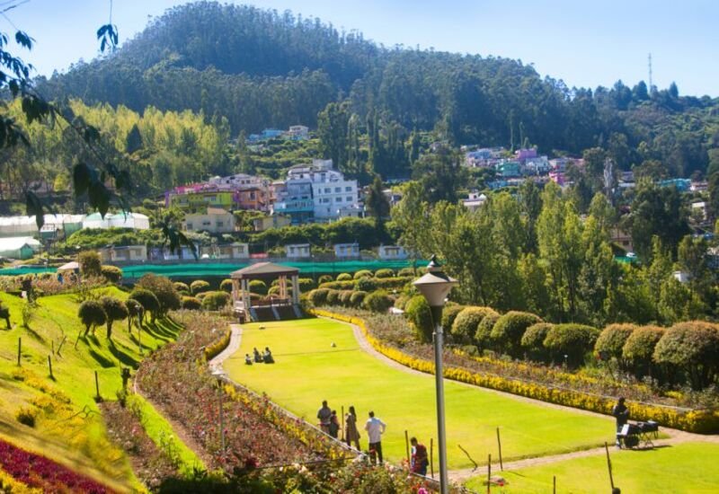 Ooty Taxi Services | Ooty Travels | Travel Agency Near me |Travels in Ooty| Travel Agency in Ooty |Day Wise Tour Packages | Taxi Booking in Ooty | Cab Rentals in Ooty | Local Sightseeing Tours in Ooty | Sightseeing in Ooty | Travel Packages in Ooty | Ooty Car Rental | Taxi Booking in Ooty | Tour Packages in Ooty | Ooty Tour Packages |Honeymoon Packages in Ooty | Trip Planner Ooty | Best Travel Agency in Ooty | Ooty Travels Booking | Family Tour Packages | Adventure Tour Packages | Masinagudi Tour Packages | Jeep Safari | Budget Tour Packages in Ooty | Luxury Tour Packages | Holiday Packages in Ooty | Local Sightseeing Packages in Ooty | Tour Operators in Ooty | Travel Agents in Ooty | Ooty Tour Packages from Bangalore | Cab Rentals in Ooty | Cab Booking in Ooty | Local Sightseeing by Car in Ooty | Taxi Rentals in Ooty | Ooty Taxi Packages | Cheapest Cab Service in Ooty | Best Cab Service in Ooty | Ooty Sightseeing Cab Price | Ooty Local Sightseeing Packages by Car | Ooty Taxi Service | Taxi Service Ooty | Travels in Ooty | Room Booking in Ooty | Hotel Booking in Ooty | Outstation Trips | Ooty to Coimbatore Trips | Local Ooty Trips | Ooty to Bangalore taxi booking | Ooty airport taxi booking | Ooty local taxi booking | Ooty outstation taxi booking